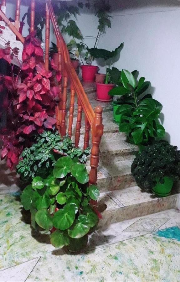 Gjirokastër Sokolli Guest House מראה חיצוני תמונה